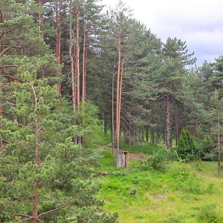 Zlatibor Holiday, Vila Leonardo VI Exteriör bild