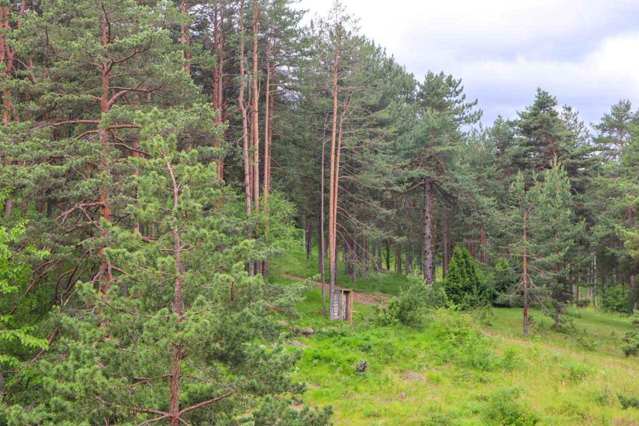 Zlatibor Holiday, Vila Leonardo VI Lägenhet Exteriör bild