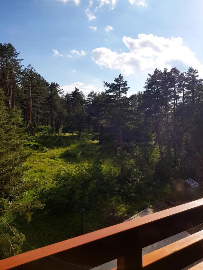 Zlatibor Holiday, Vila Leonardo VI Lägenhet Exteriör bild